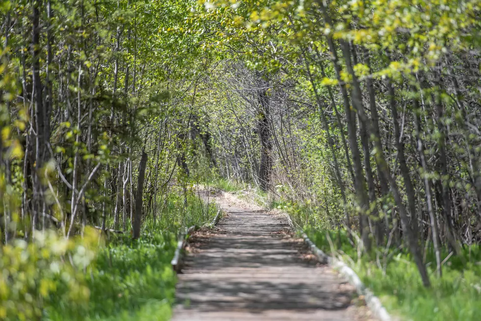 Duluth Parks Looking for Joke Submissions for New Trail