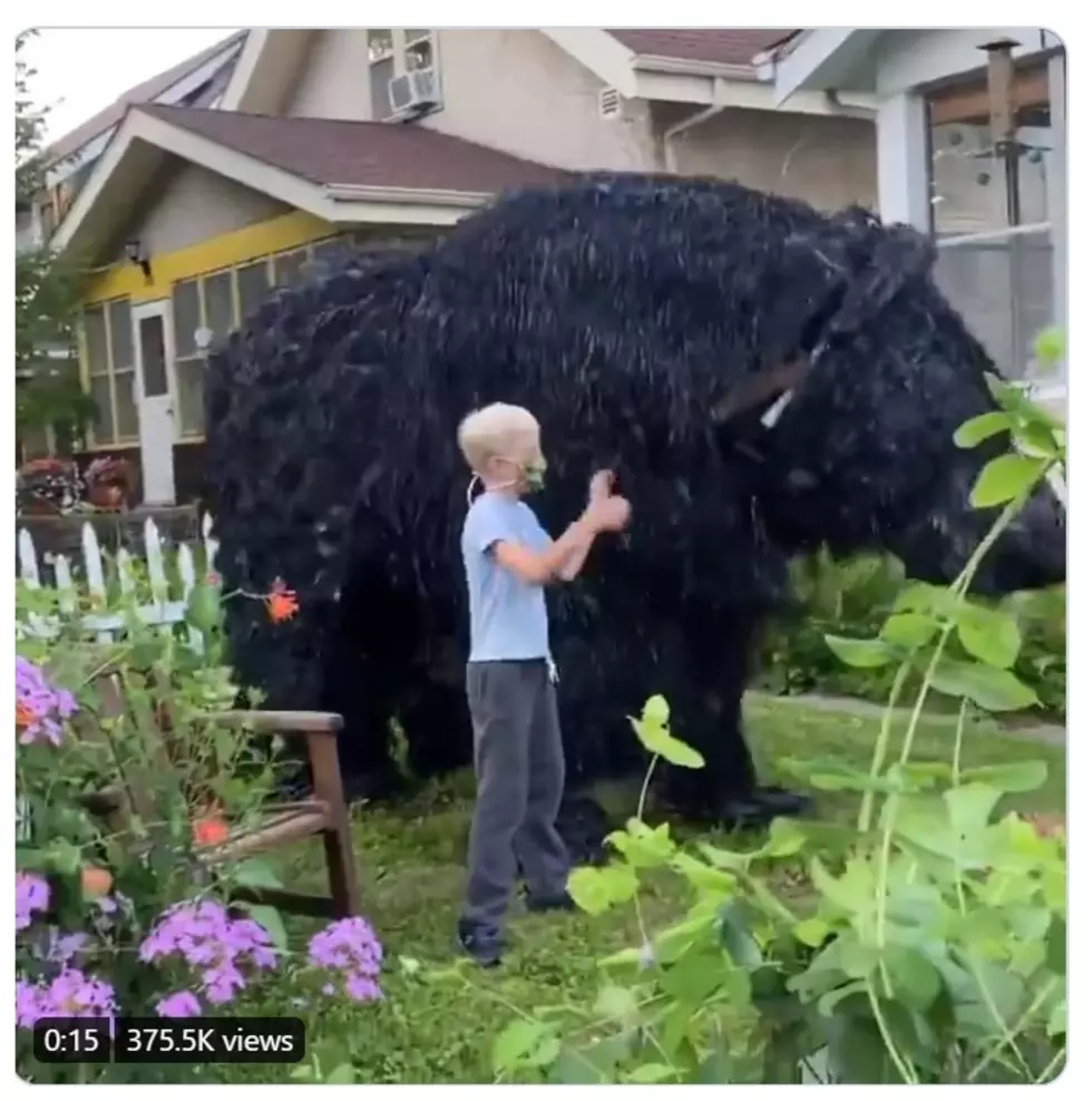 Minneapolis Man Created A Giant Dancing Bear Puppet, And Video Has Gone Viral