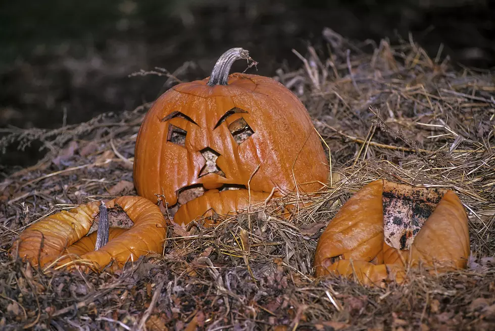 The Best Ways To Dispose Of Your Pumpkins After Halloween
