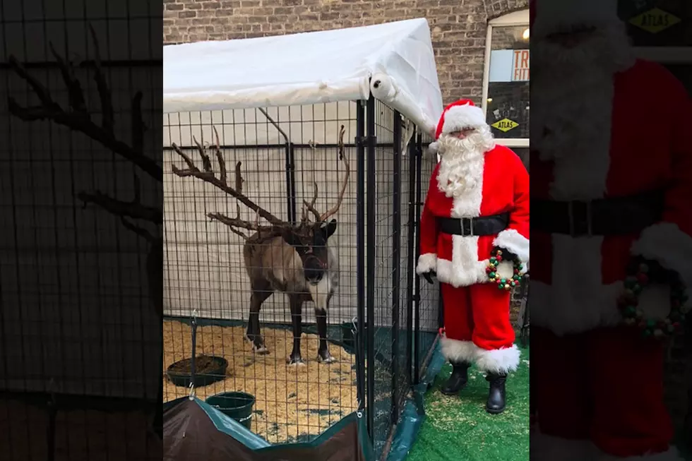 Santa And His Live Reindeer Will Begin Appearing At Fitger’s Later This Month