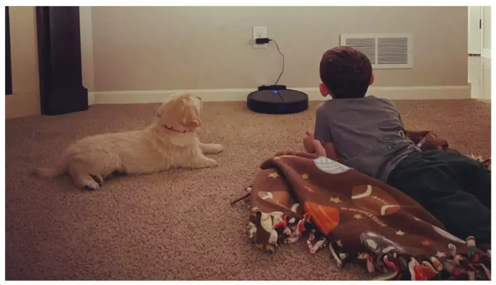 A  Young Minnesota Boy With A Prosthetic Leg Received A Very Special Puppy