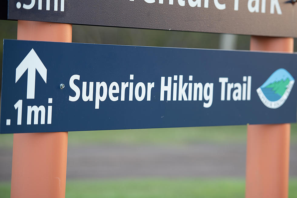 A Young Dog Had To Be Rescued Off A Cliff On The Superior Hiking Trail