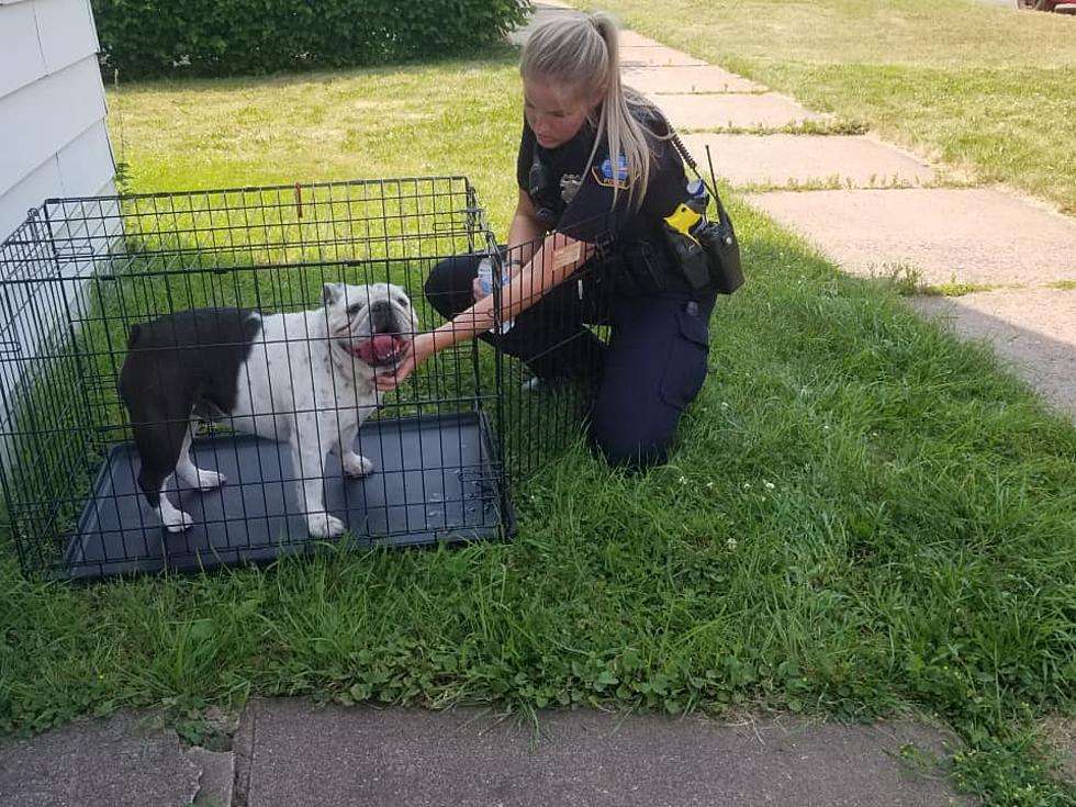 Duluth Fire Department Rescue Betty the Bulldog After Fire