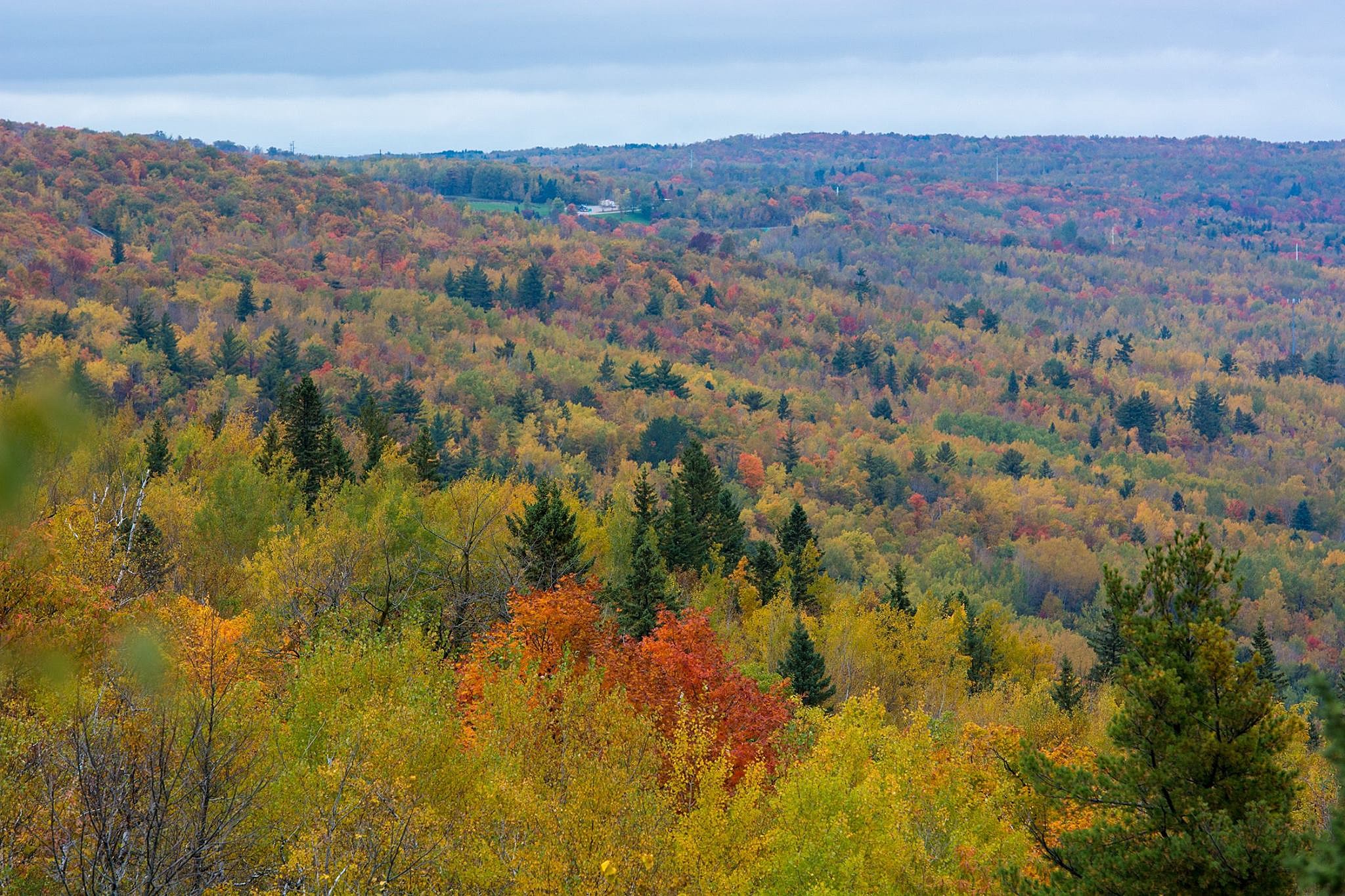 Soar Above The Trees At Lutsen Mountain For Amazing Fall Colors