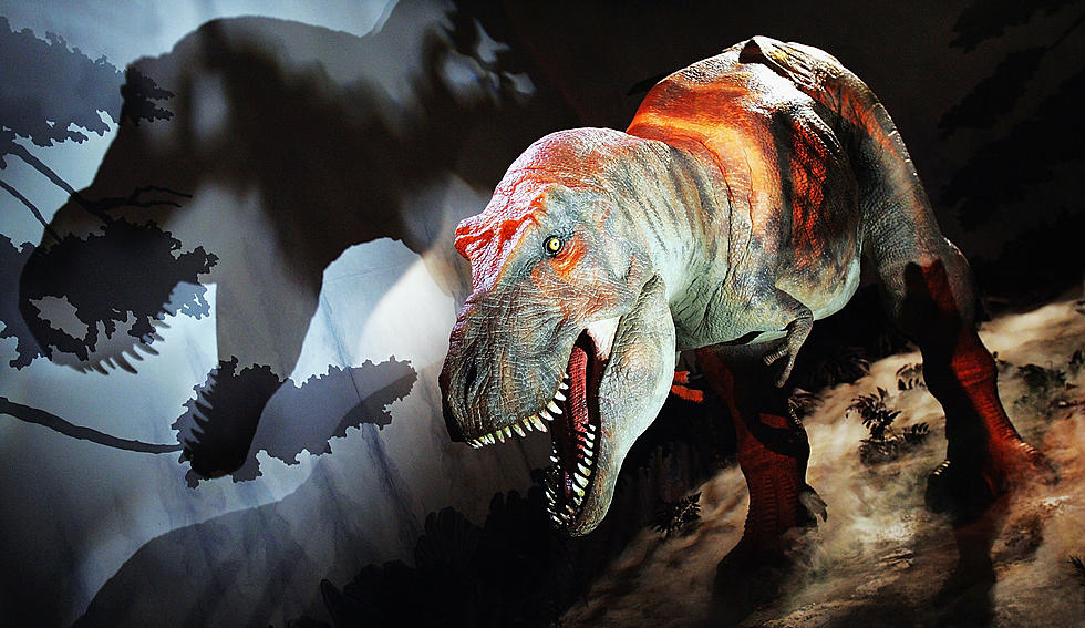 Gigantic Dinosaur Event Coming to Minnesota This Winter