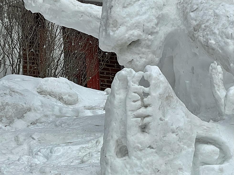 Duluthian Shows Support To Ukraine With Snow Sculpture 
