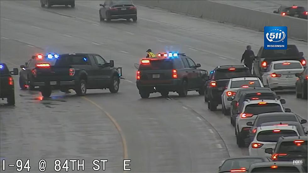 WATCH: Wild Turkey Causes Traffic Jam On Busy Wisconsin Freeway