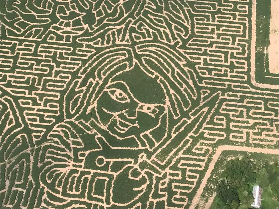 Minnesota Corn Maze Features Pennywise, Jason, Chucky, and More