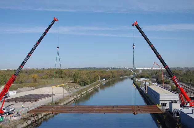 See How an Electrified Stretch of Water Keeps Carp out of The Great Lakes