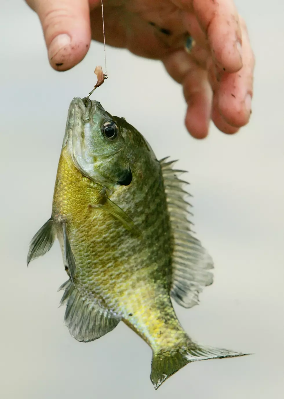 Fishing Season Kicks Off At The Nation's Capitol