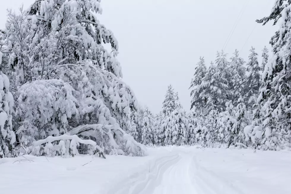 Updated South Shore + North Shore Snowfall Totals