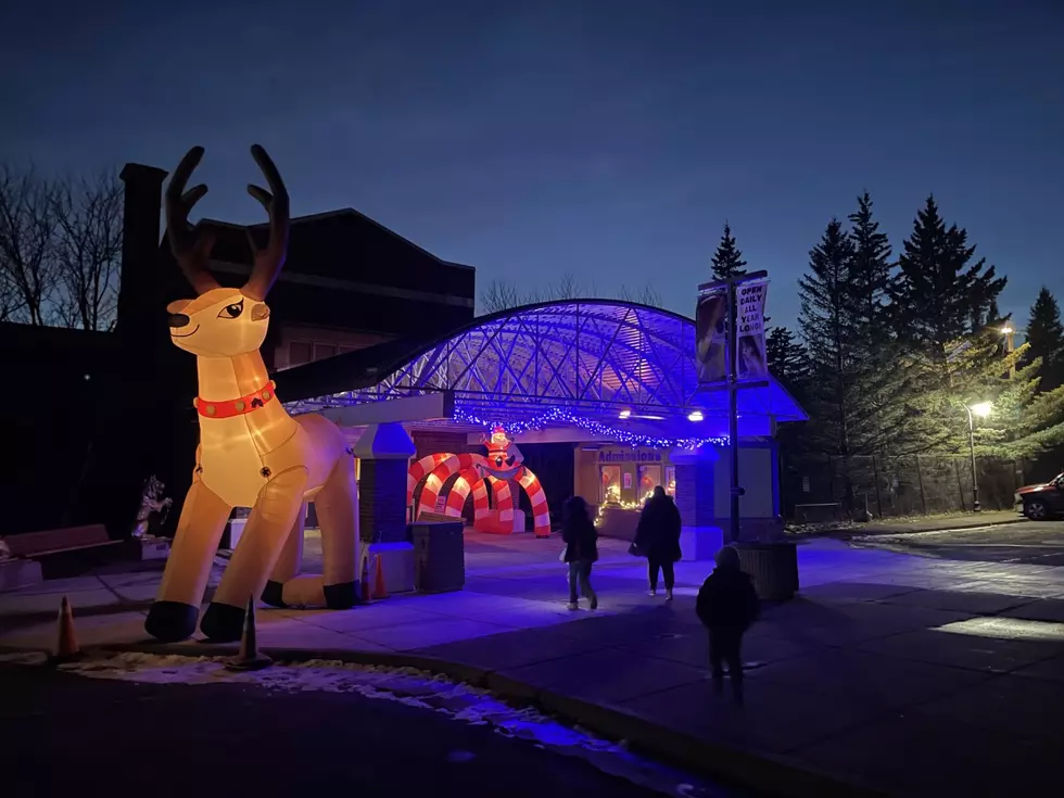 What To Expect At Lake Superior Zoo&#8217;s &#8216;Larger Than Life&#8217; Zoo Lights 2022