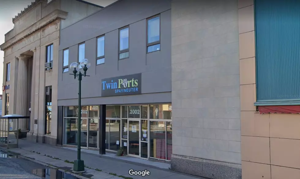 Twin Ports Spay/Neuter To Re-Open In A New Duluth Location