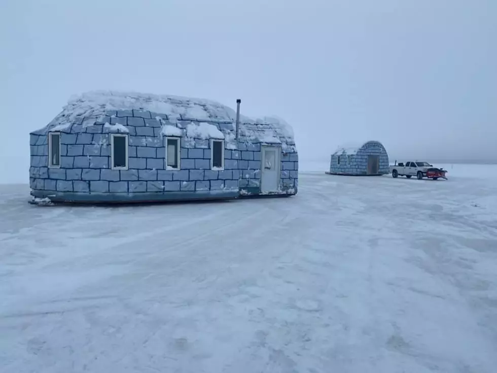 Minnesota's Famous Igloo Ice Bar Open For The 2023 Winter Season