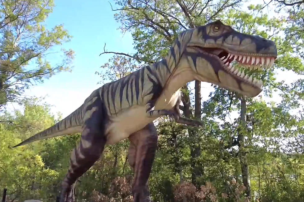 Dinosaurs Are Back At The Minnesota Zoo This Summer For Their &#8216;Dino Hideout&#8217; Exhibit