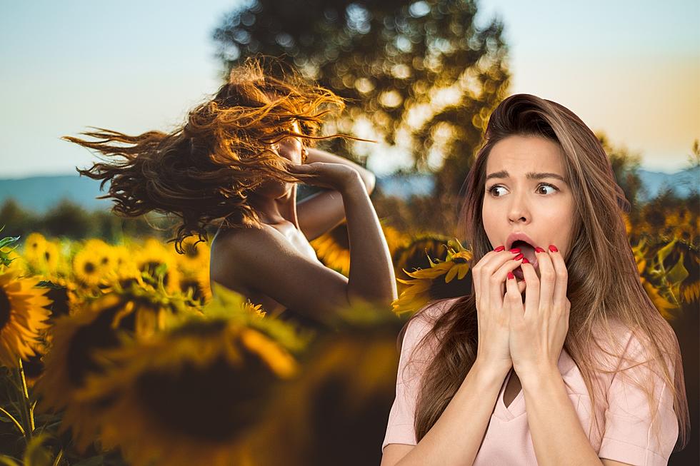 Planning On Attending One Of Minnesota&#8217;s Sunflower Fields? Please Don&#8217;t Do This!