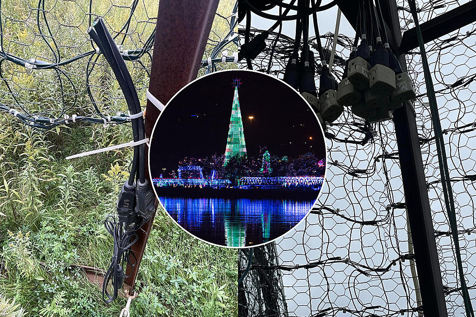 Vandals Cause Thousands Of Dollars In Damage To Bentleyville’s Iconic Christmas Tree