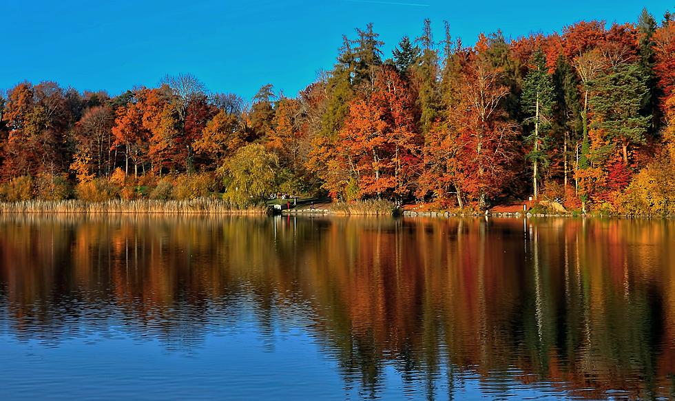 When Will Fall Colors Peak Across Minnesota And Wisconsin For 2023 Season?