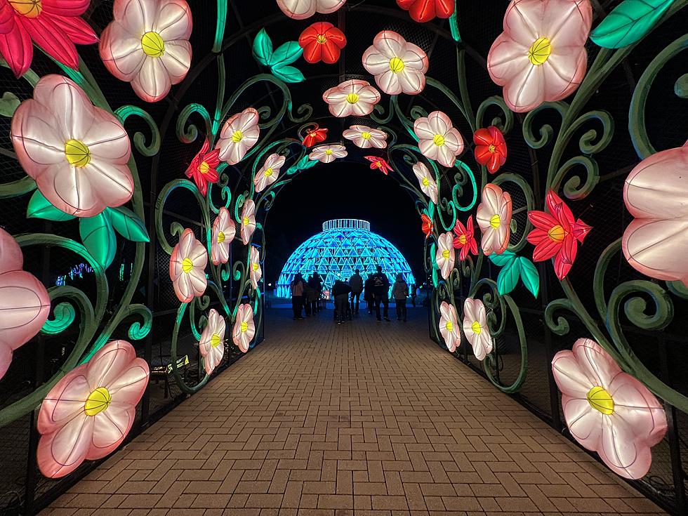 This Fall Wisconsin Walk-Through Light Display Is A Must-Visit