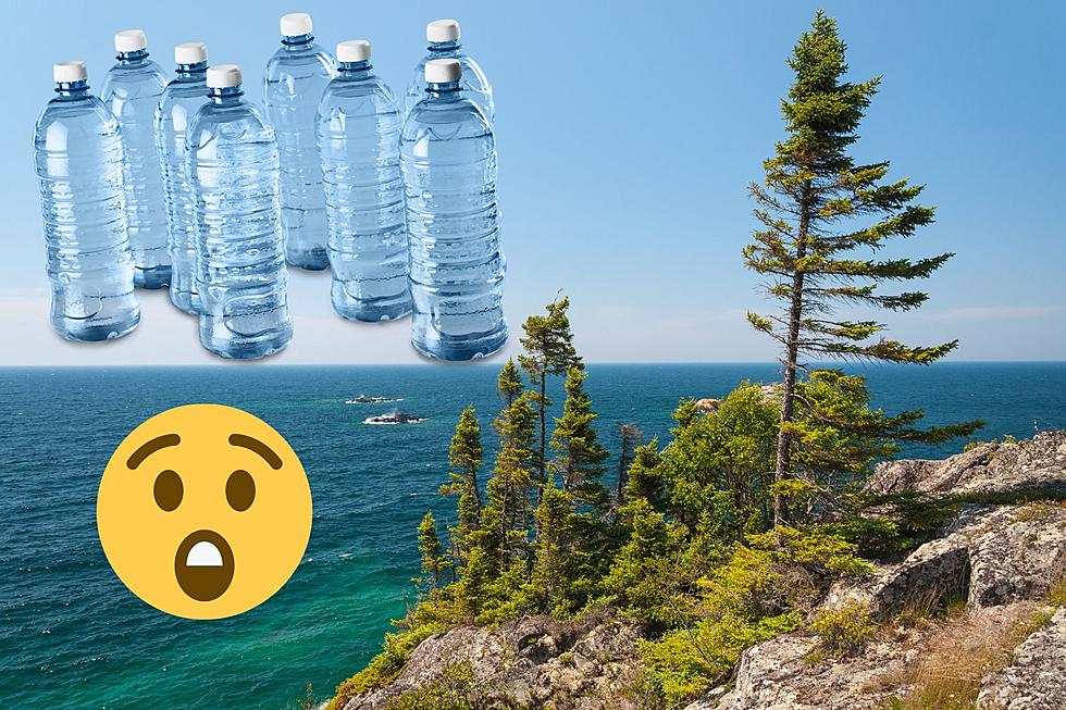 How Many Stanley Tumblers Could You Fill with the Water in Lake Superior?
