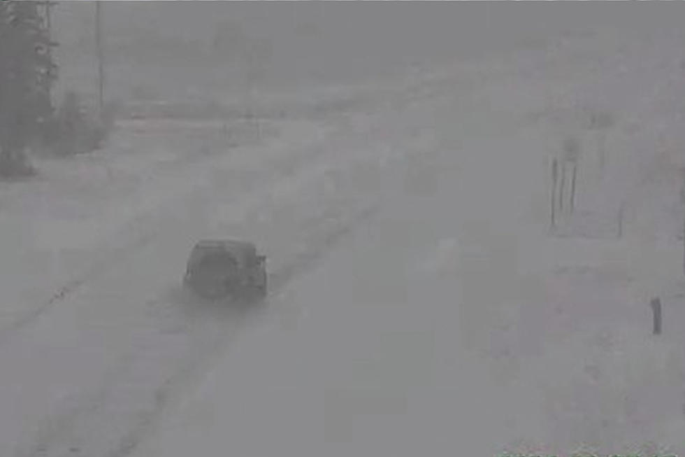 Video Shows How Quickly The Snow Is Falling In Northern Minnesota