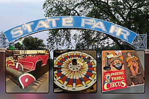 11 Crazy Items in The Minnesota State Fair Auction