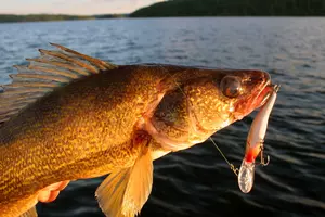 Heads Up Walleye Anglers: Wisconsin DNR Considering Limit Changes On Popular Waterway