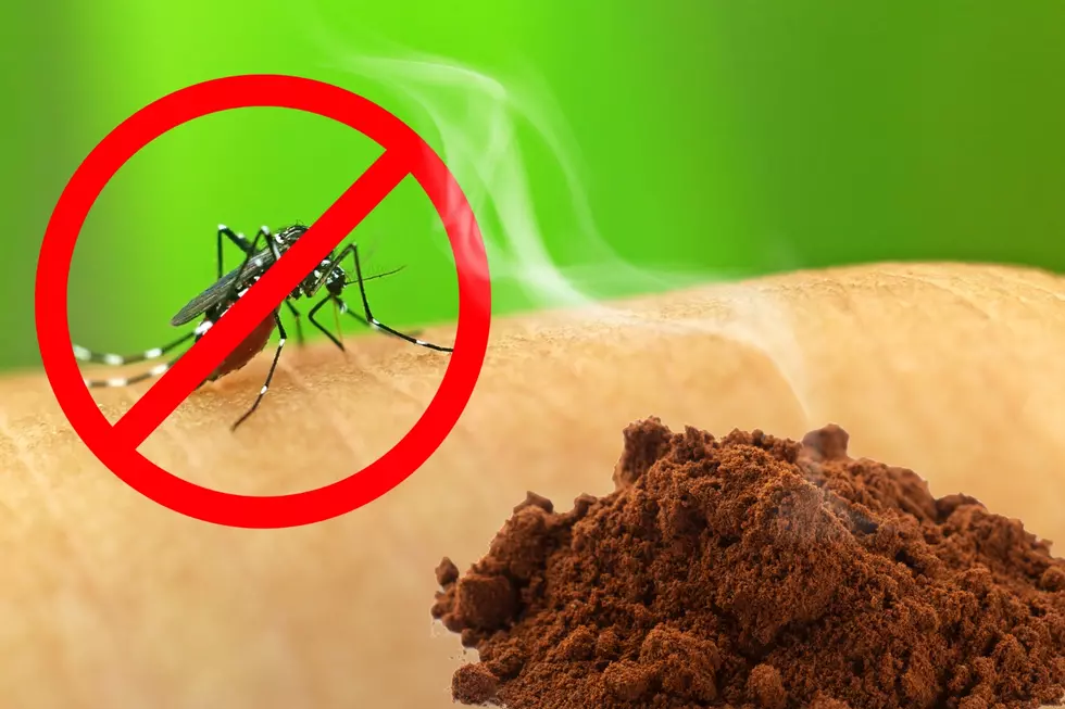 Have You Tried This Natural Mosquito Repelling Hack Some People Swear By?