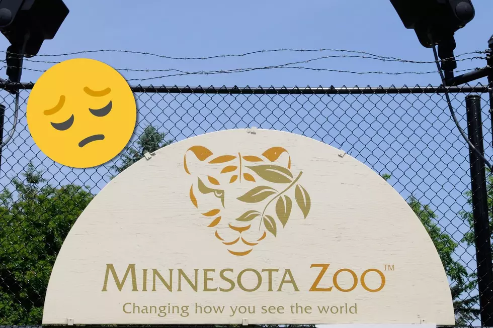 Minnesota Zoo Says Goodbye to “Zoo Icon”
