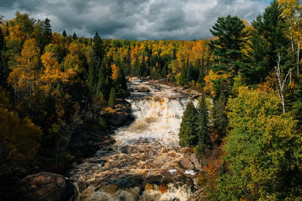 Photo by Andrew Ling on Unsplash