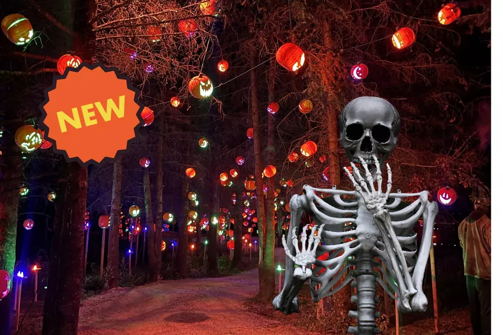 New Minnesota Halloween Event Features Over 10,000 Carved Pumpkins