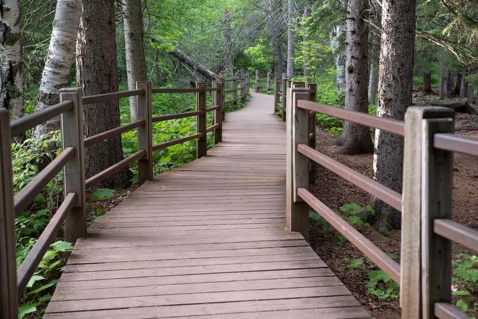 Boardwalk trail at Gooseberry Falls State Park north of Two Harbors, MN