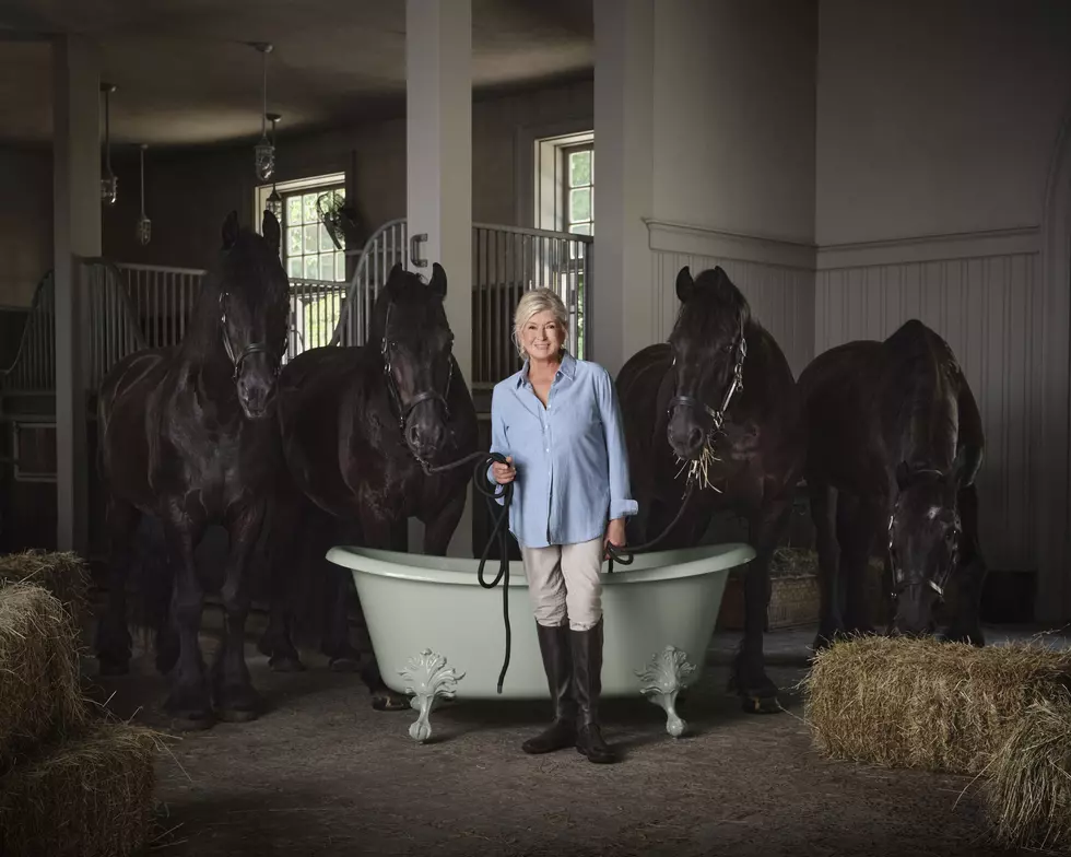 Martha Stewart’s Surprising New Role In Wisconsin