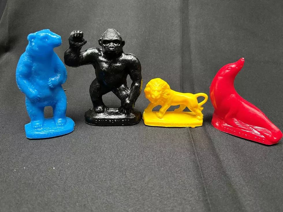 Como Zoo Is Losing a Childhood Memory For Generations