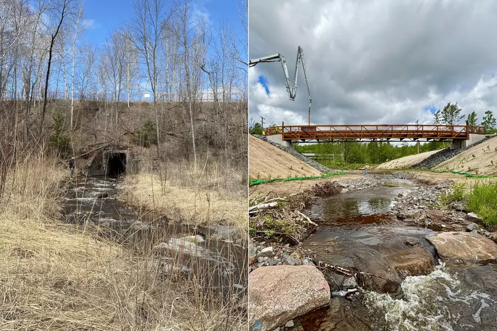 Minnesota DNR
