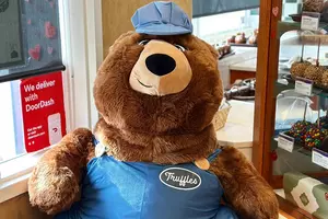 Stolen Canal Park Stuffed Bear Mascot Found In A Dumpster
