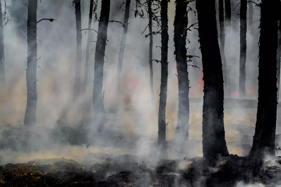 How Do The 2026 BWCAW Wildfires Compare In Size To Other Recent Historic Minnesota Wildfires?