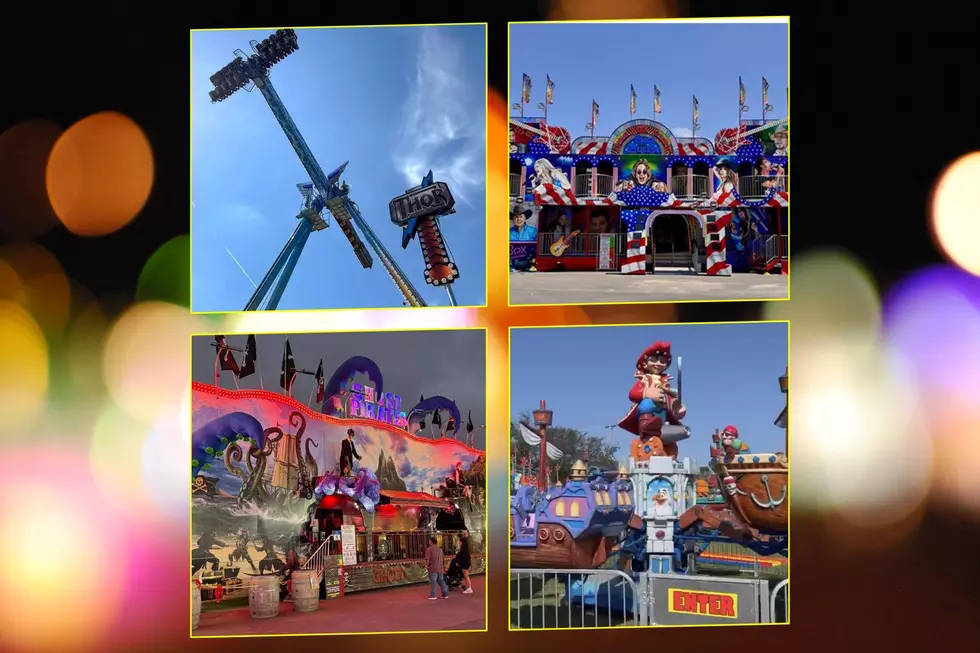 Minnesota State Fair