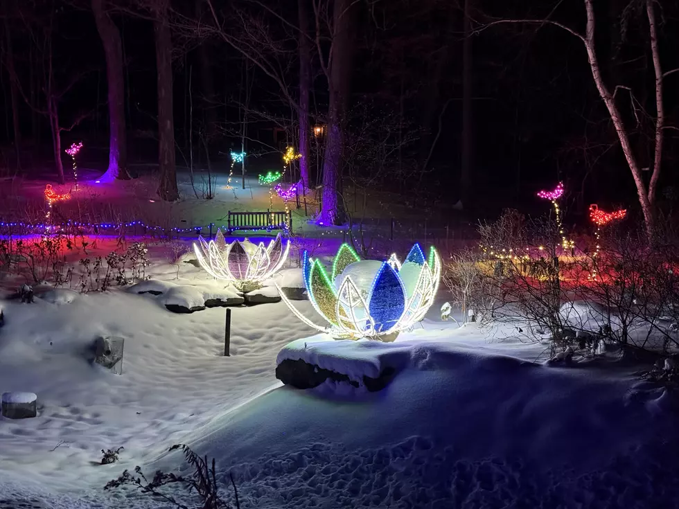 Completely Reimagined Holiday Lights Event Coming To Minnesota Landscape Arboretum This Winter