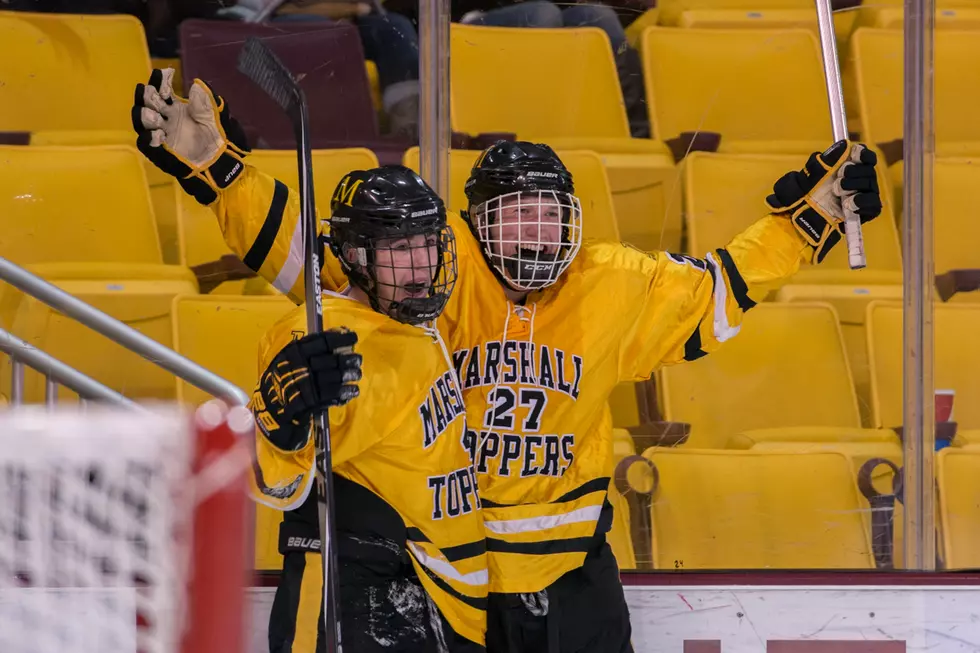 Duluth East, Hermantown, and Duluth Marshall Advance to Championship Games [PHOTOS]