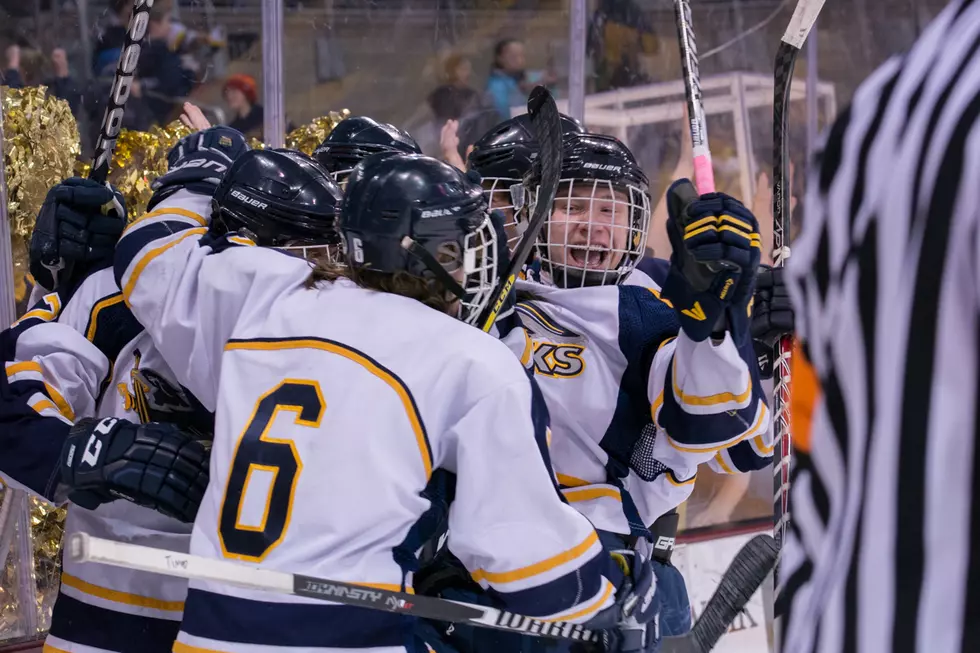Hermantown Wins 4-0 Over Duluth Marshall to Win 2015 Section 7A Title and Sixth Consecutive Trip to State Tournament [PHOTOS]