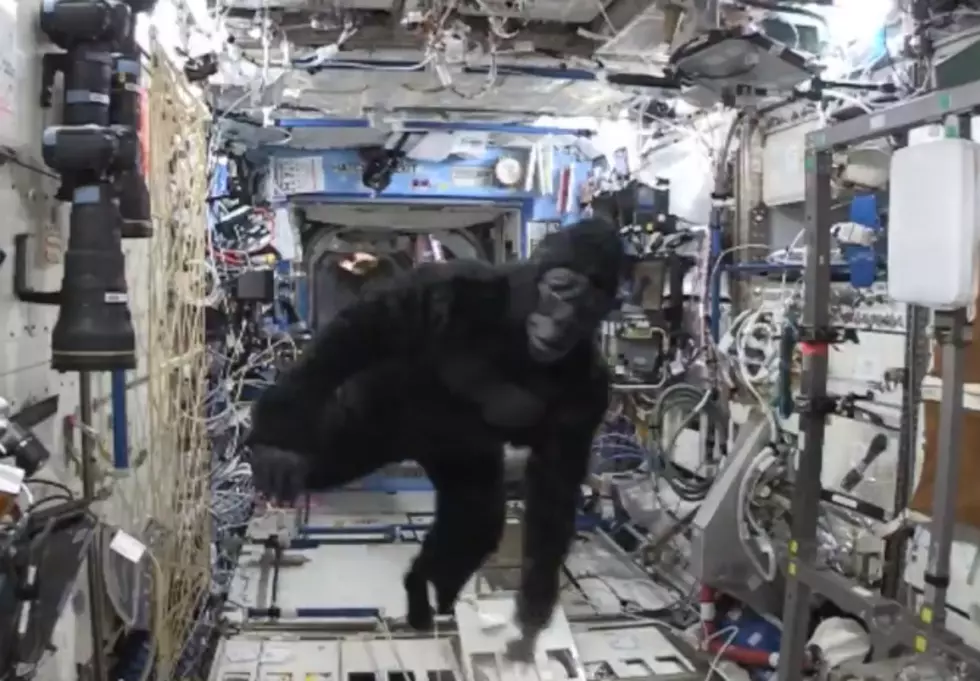 Why is There an Ape Aboard the International Space Station?