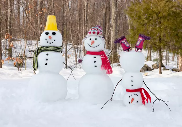 Make A Snow Creation And Enjoy Half Price Tours At Fairlawn