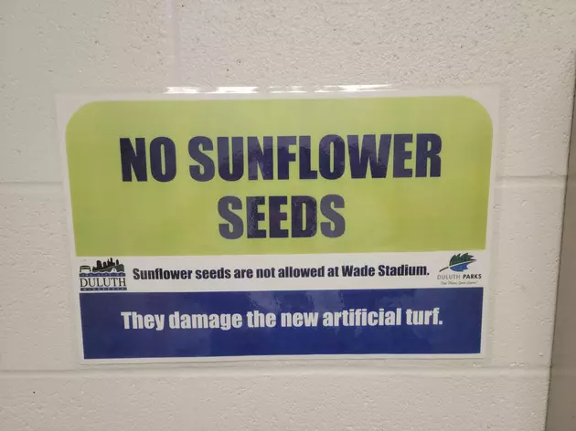 What&#8217;s With No Sunflower Seeds At Baseball Games?