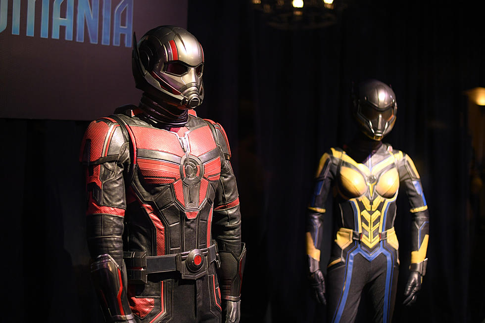 Ant-Man and The Wasp: Quantumania – No-Spoiler Review