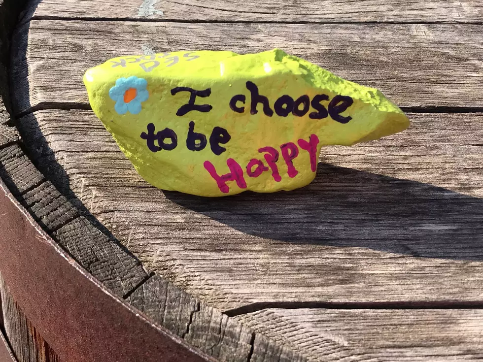 Painted-Rock Trend Prompts a Warning from State Parks