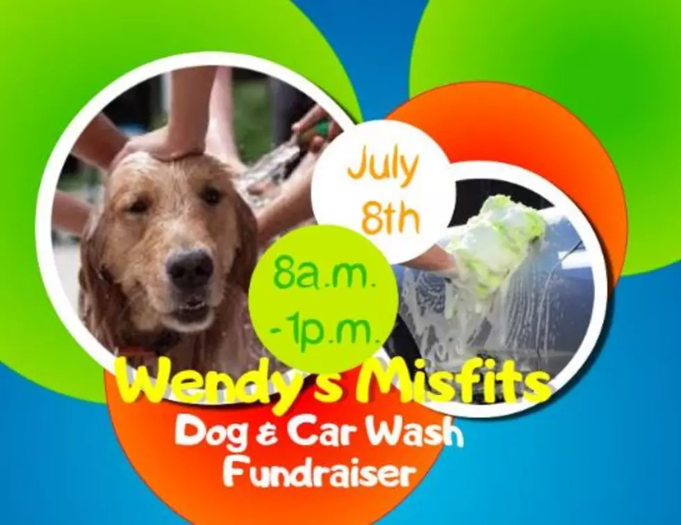 Dog & Car Wash This Saturday In Lufkin
