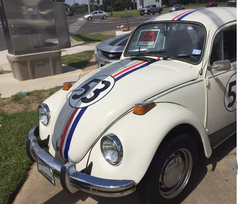 Herbie The Love Bug Needs New Owner