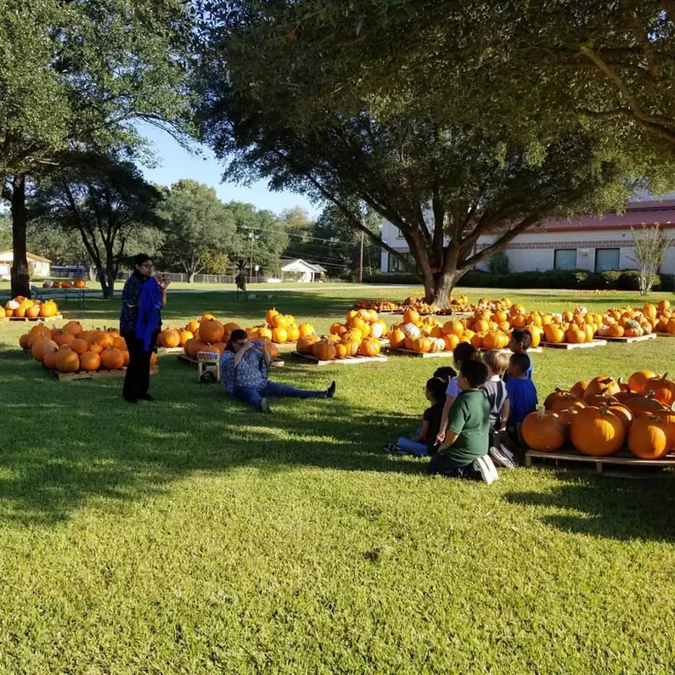 Pumpkin Patch Open In Lufkin