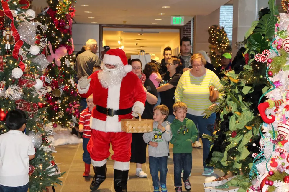 Museum Of East Texas Brings Back Festival Of Trees In Lufkin, Texas